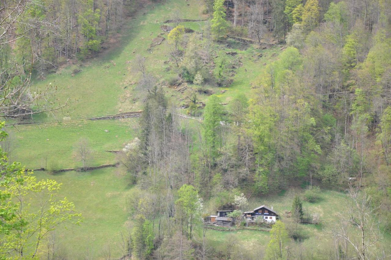 Ferienwohnungen Alter Raaben Rüti Zewnętrze zdjęcie