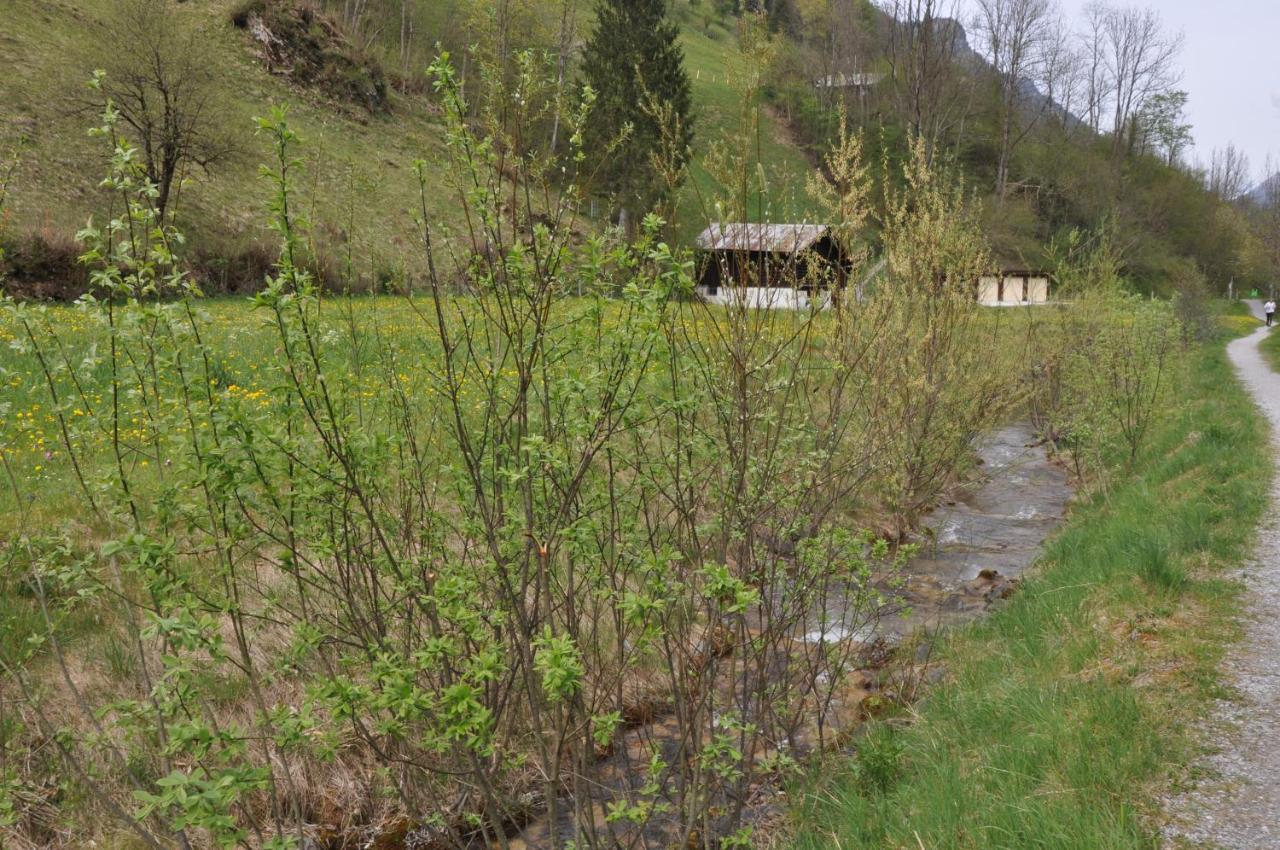 Ferienwohnungen Alter Raaben Rüti Zewnętrze zdjęcie